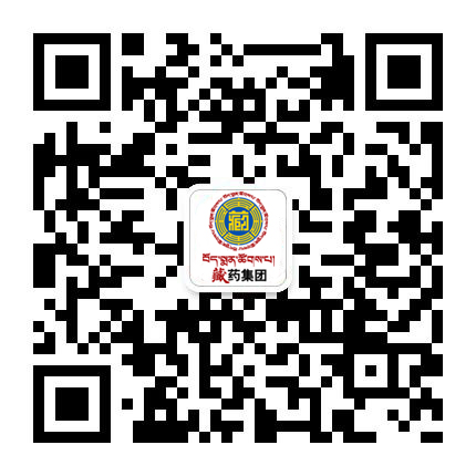 中文字幕丰满孑伦无码专区