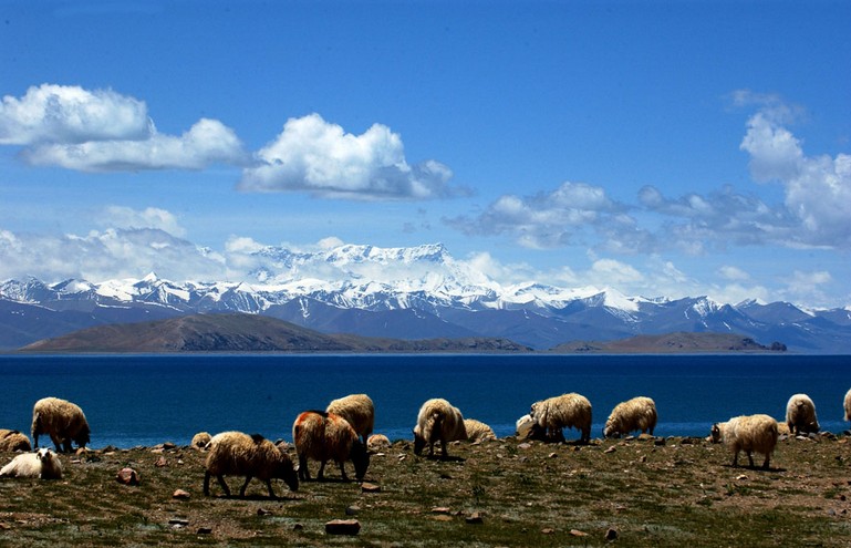 中文字幕丰满孑伦无码专区