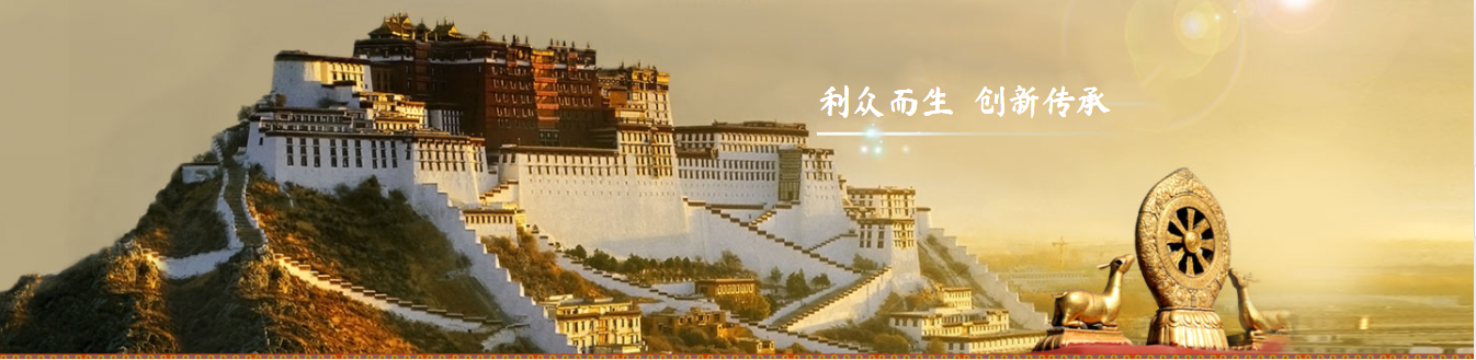 中文字幕丰满孑伦无码专区